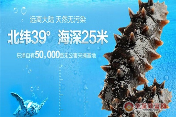 东泽海参加盟